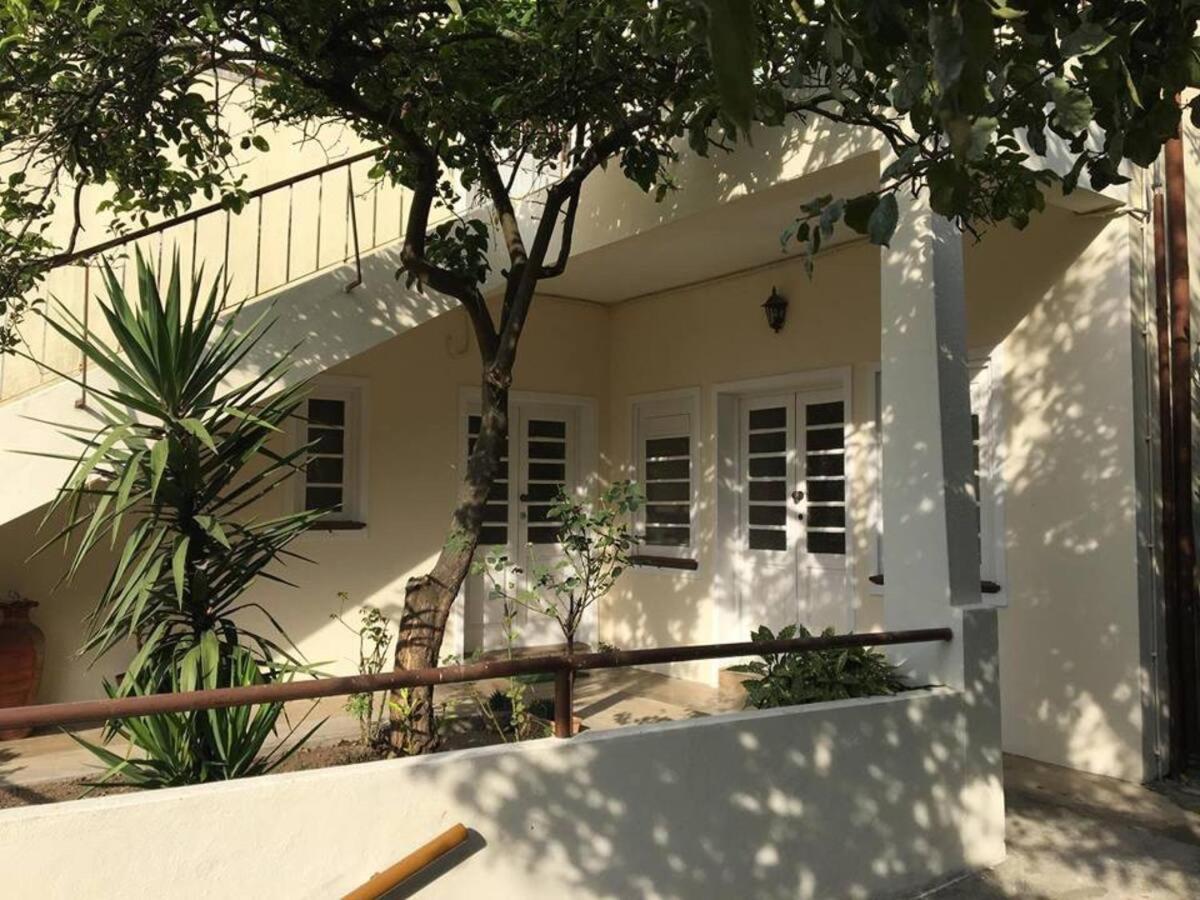Aguim Casa Milheiro - Sunny Garden In Porto 빌라 외부 사진
